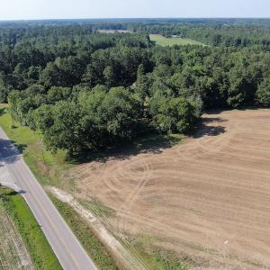 Photo #5 of SOLD property in OFF NC HWY 41, Fairmont, NC 41.0 acres