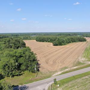 Photo #7 of SOLD property in OFF NC HWY 41, Fairmont, NC 41.0 acres