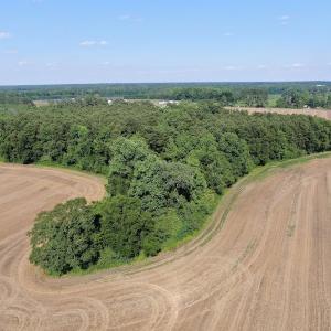 Photo #8 of SOLD property in OFF NC HWY 41, Fairmont, NC 41.0 acres