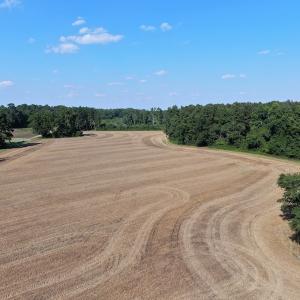 Photo #9 of SOLD property in OFF NC HWY 41, Fairmont, NC 41.0 acres