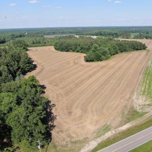 Photo #10 of SOLD property in OFF NC HWY 41, Fairmont, NC 41.0 acres