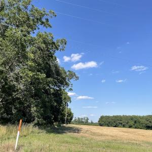 Photo #11 of SOLD property in OFF NC HWY 41, Fairmont, NC 41.0 acres