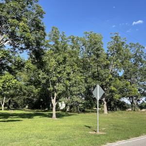 Photo #12 of SOLD property in OFF NC HWY 41, Fairmont, NC 41.0 acres