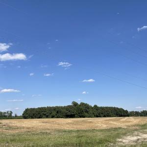 Photo #13 of SOLD property in OFF NC HWY 41, Fairmont, NC 41.0 acres