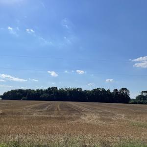 Photo #15 of SOLD property in OFF NC HWY 41, Fairmont, NC 41.0 acres