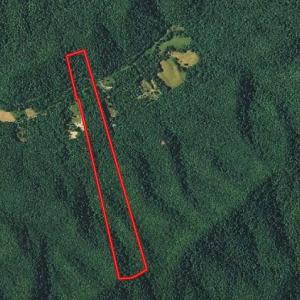 Photo #18 of SOLD property in 426 Davis Road, Atkins, VA 43.7 acres