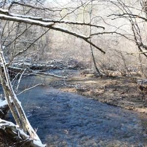 Photo #4 of SOLD property in 426 Davis Road, Atkins, VA 43.7 acres