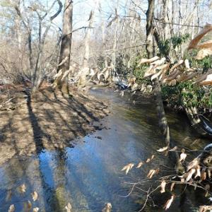 Photo #5 of SOLD property in 426 Davis Road, Atkins, VA 43.7 acres