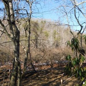 Photo #6 of SOLD property in 426 Davis Road, Atkins, VA 43.7 acres