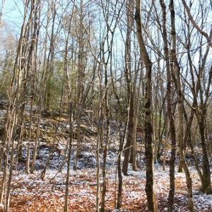 Photo #8 of SOLD property in 426 Davis Road, Atkins, VA 43.7 acres