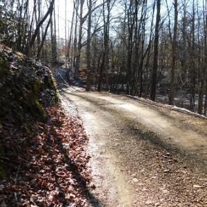 Photo #10 of SOLD property in 426 Davis Road, Atkins, VA 43.7 acres