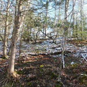 Photo #11 of SOLD property in 426 Davis Road, Atkins, VA 43.7 acres