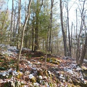 Photo #12 of SOLD property in 426 Davis Road, Atkins, VA 43.7 acres