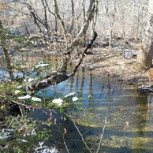 Photo #1 of SOLD property in 426 Davis Road, Atkins, VA 43.7 acres