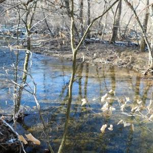 Photo #2 of SOLD property in 426 Davis Road, Atkins, VA 43.7 acres