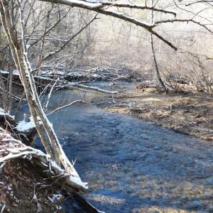 Photo #3 of SOLD property in 426 Davis Road, Atkins, VA 43.7 acres