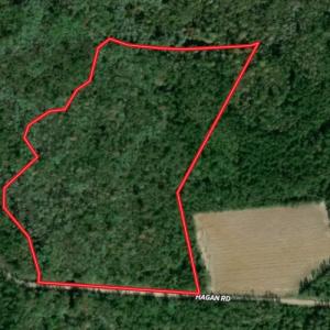 Photo #1 of SOLD property in Off Hagan Road, Loris, SC 24.0 acres