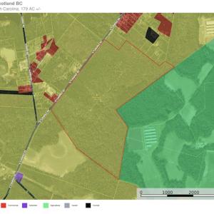 Photo #19 of SOLD property in N. Turnpike Road, Wagram, NC 179.0 acres