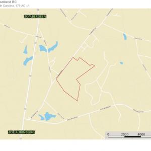 Photo #18 of SOLD property in N. Turnpike Road, Wagram, NC 179.0 acres