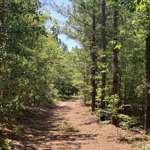 Photo #2 of SOLD property in N. Turnpike Road, Wagram, NC 179.0 acres