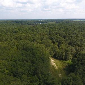 Photo #13 of SOLD property in N. Turnpike Road, Wagram, NC 179.0 acres