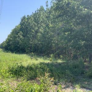 Photo #14 of SOLD property in N. Turnpike Road, Wagram, NC 179.0 acres