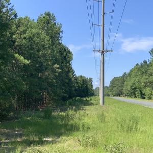 Photo #16 of SOLD property in N. Turnpike Road, Wagram, NC 179.0 acres