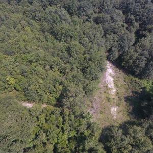 Photo #17 of SOLD property in N. Turnpike Road, Wagram, NC 179.0 acres
