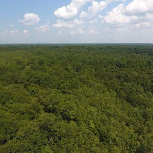 Photo #3 of SOLD property in N. Turnpike Road, Wagram, NC 179.0 acres