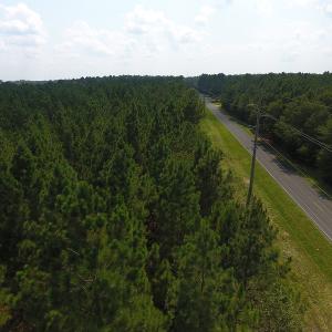 Photo #4 of SOLD property in N. Turnpike Road, Wagram, NC 179.0 acres