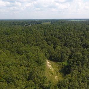 Photo #5 of SOLD property in N. Turnpike Road, Wagram, NC 179.0 acres