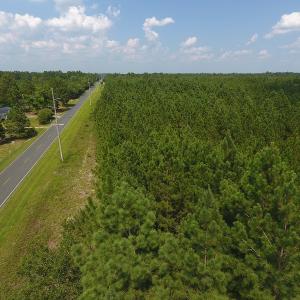 Photo #6 of SOLD property in N. Turnpike Road, Wagram, NC 179.0 acres