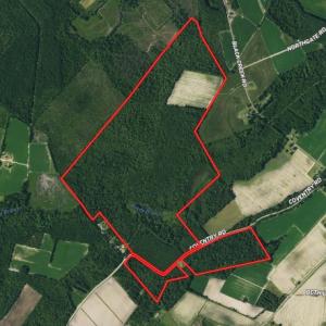 Photo #1 of SOLD property in Off Coventry Road, Nichols, SC 253.6 acres