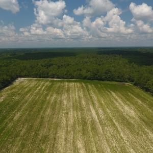 Photo #2 of SOLD property in Off Coventry Road, Nichols, SC 253.6 acres