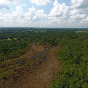 Photo #11 of SOLD property in Off Coventry Road, Nichols, SC 253.6 acres