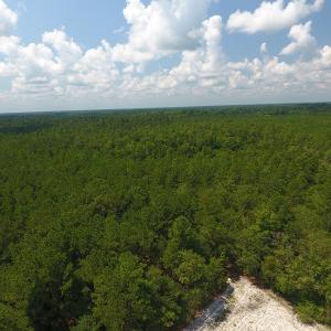 Photo #12 of SOLD property in Off Coventry Road, Nichols, SC 253.6 acres