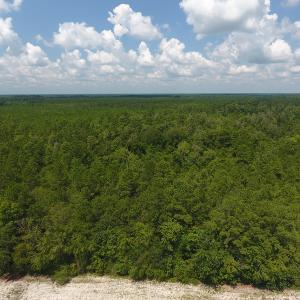 Photo #6 of SOLD property in Off Coventry Road, Nichols, SC 253.6 acres