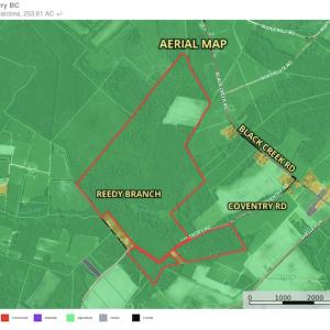 Photo #16 of SOLD property in Off Coventry Road, Nichols, SC 253.6 acres