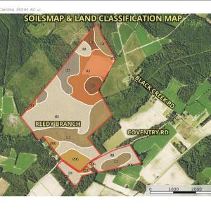 Photo #18 of SOLD property in Off Coventry Road, Nichols, SC 253.6 acres