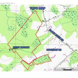Photo #19 of SOLD property in Off Coventry Road, Nichols, SC 253.6 acres