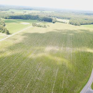 Photo #3 of SOLD property in Off Raynor Road, Smithfield, VA 74.0 acres