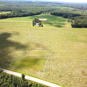 Photo #4 of SOLD property in Off Raynor Road, Smithfield, VA 74.0 acres