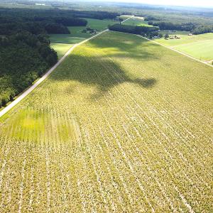 Photo #5 of SOLD property in Off Raynor Road, Smithfield, VA 74.0 acres