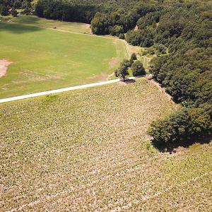 Photo #6 of SOLD property in Off Raynor Road, Smithfield, VA 74.0 acres