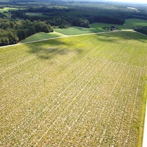 Photo #7 of SOLD property in Off Raynor Road, Smithfield, VA 74.0 acres