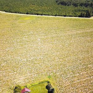 Photo #8 of SOLD property in Off Raynor Road, Smithfield, VA 74.0 acres