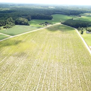 Photo #9 of SOLD property in Off Raynor Road, Smithfield, VA 74.0 acres