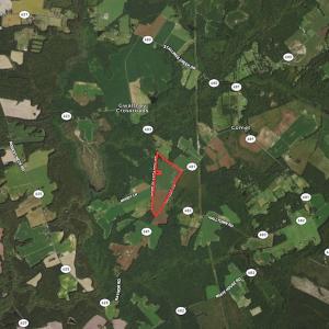 Photo #24 of SOLD property in Off Raynor Road, Smithfield, VA 74.0 acres