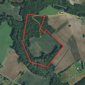 Photo #1 of SOLD property in Off Center Hill Road, Tyner, NC 56.8 acres