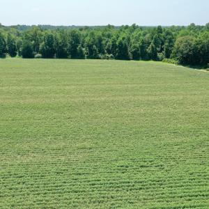 Photo #8 of SOLD property in Off Center Hill Road, Tyner, NC 56.8 acres